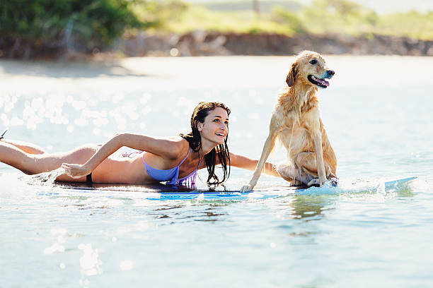 istock Young Woman Surfing with Her Dog 479298616