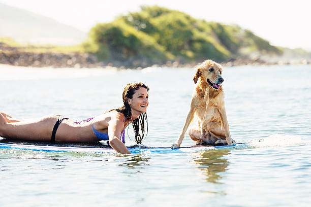 istock Young Woman Surfing with Her Dog 479298618