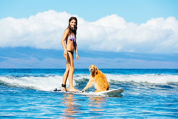 istock Young Woman Surfing with Her Dog 479298636