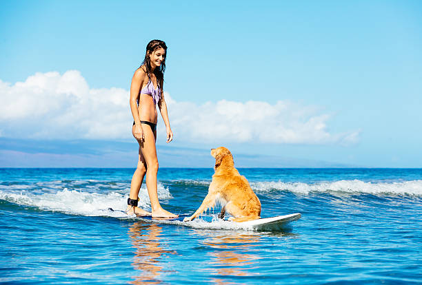 istock Young Woman Surfing with Her Dog 479298638