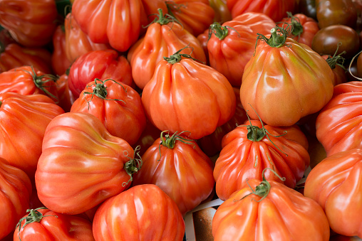 Organic tomatoes in a market in Mallorca, Balearic Islands, Spain