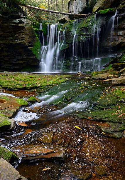 istock Elakala Falls in West Virginia in Autumn 479303224