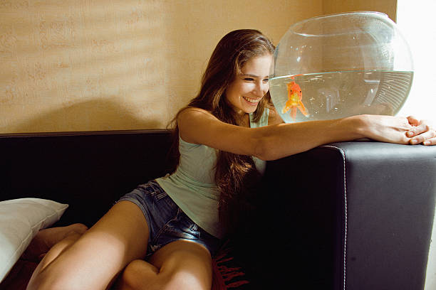 pretty woman playing with goldfish at home, sunlight morning stock photo