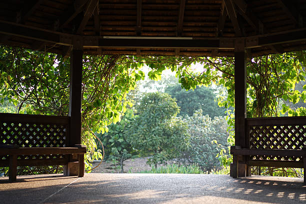 Morning sunshine seen from a garden pavillion stock photo