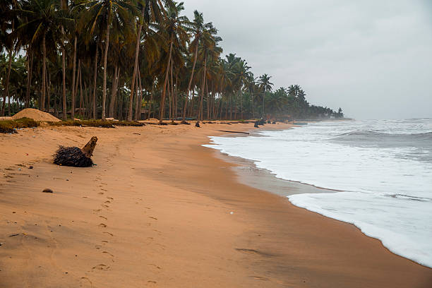 Sandy beach at the ocean shore stock photo