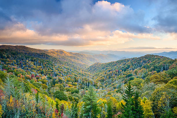 smoky montanhas beskid no outono - great smoky mountains great smoky mountains national park mountain smoke imagens e fotografias de stock