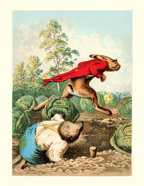 Tortoise and the Hare Vintage colour engraving of the race between the Tortoise and the Hare. brothers grimm stock illustrations