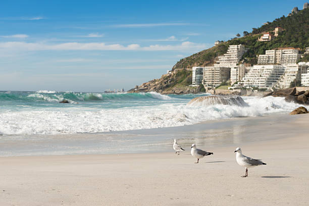 istock Clifton Beach, Cape Town, South Africa 479306144