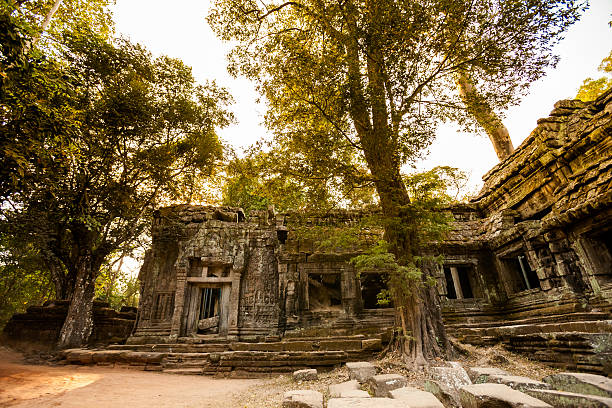 Free Stock Photo of An ancient temples in the forest | Download Free ...