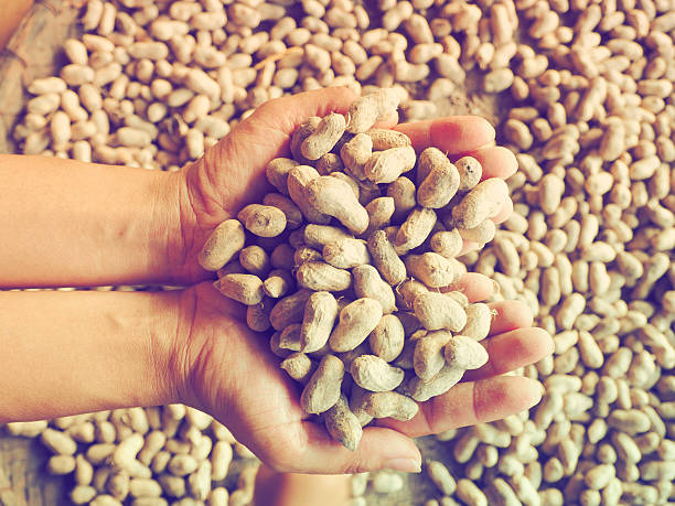 istock Woman hand holding peanuts in shells. 479311982