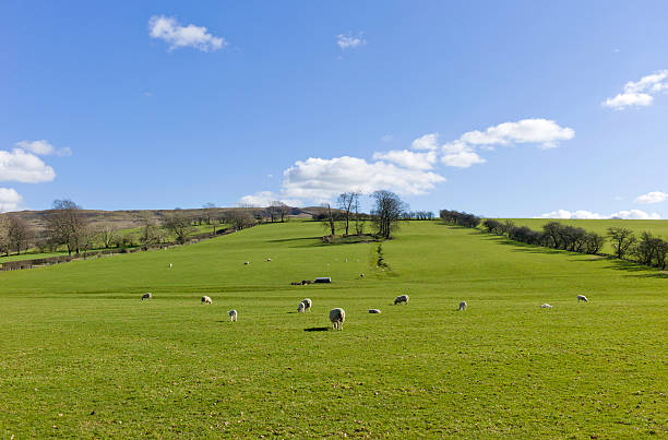 istock English country scene 479315859