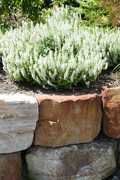 Natural stone landscaping in home garden