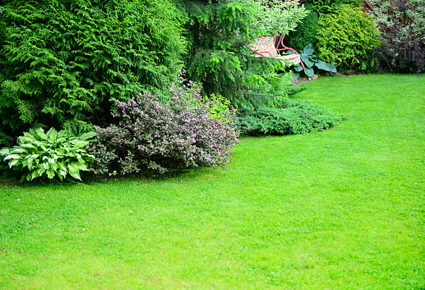 istock ornamental garden with lawn 479318862