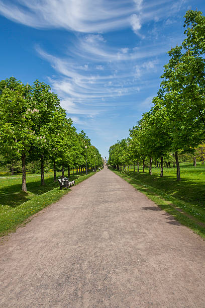 istock Alley In The Park 479319670
