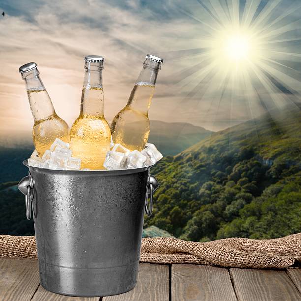 istock Beer Bottle, Beer, Bucket 479319896