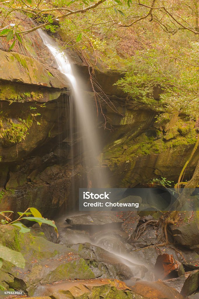 Evergreen waterfall Scene of an evergreen small waterfall in northern of Thailand. 2015 Stock Photo