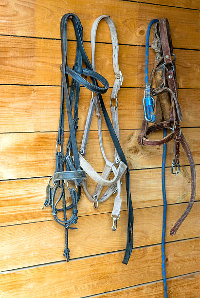 istock Horses harnesses hanging on wooden wall 479327349