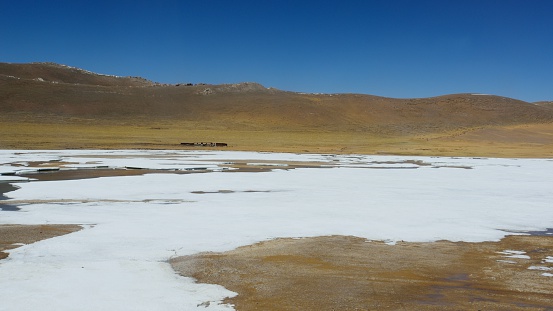 The Tibetan plateau（Qinghai-Xizang Plateau） is a cradle of 