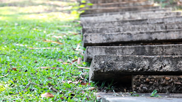 HD Dolly:Cement stairs near the lawn.