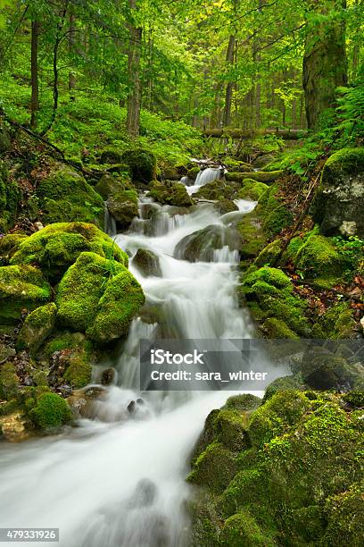 Waterfall In A Lush Gorge In Slovensky Raj Slovakia Stock Photo - Download Image Now