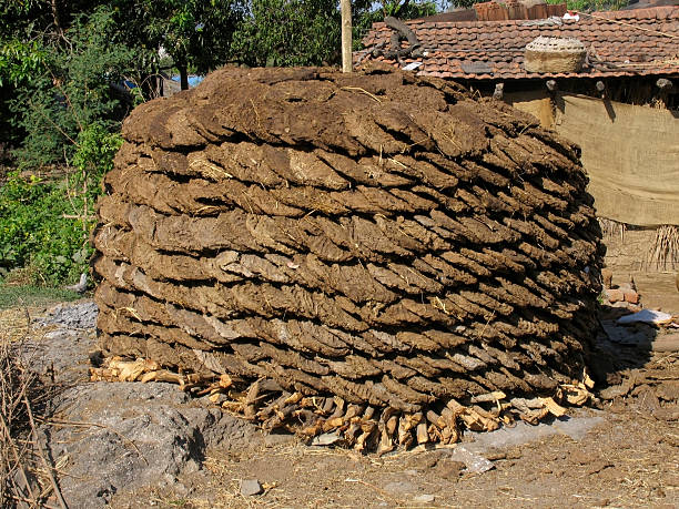 Dry cow dung cakes Heap of Dry cow dung cakes stocked to use as fuel for cooking in rural area, India cow dung stock pictures, royalty-free photos & images