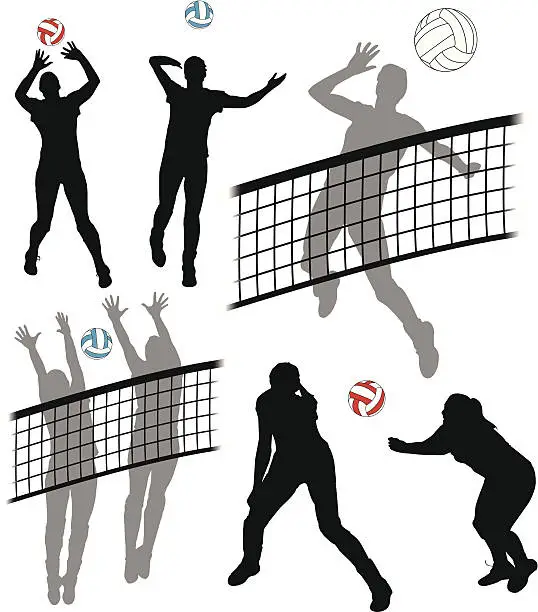 Vector illustration of Volleyball Players