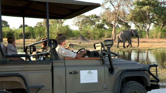 Tourists on game drive vehicle viewing an elephant,Botswana