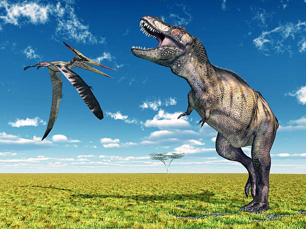 istock Pteranodon and Tyrannosaurus Rex 479337695