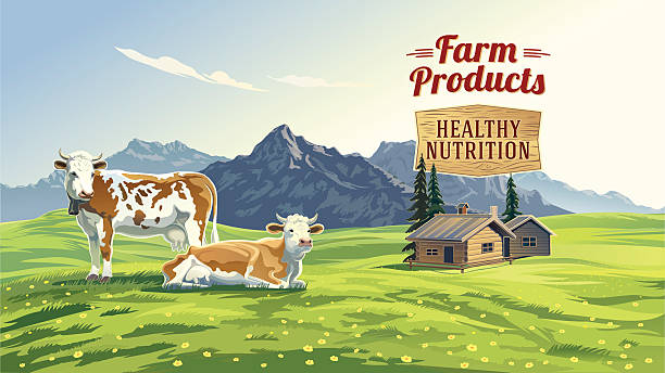 ilustrações de stock, clip art, desenhos animados e ícones de paisagem de montanha com duas vacas. - milk european alps agriculture mountain