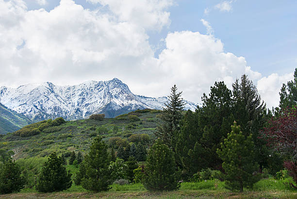 実装オグデンは、広大なワサッチ山脈を - western usa mountain peak landscape farm ストックフォトと画像