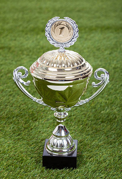 istock Shiny Championship Trophy On Pitch 479339492