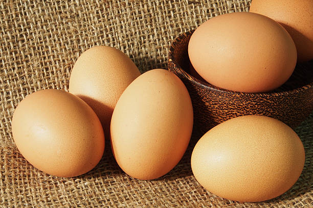 jaja - agriculture brown burlap cholesterol zdjęcia i obrazy z banku zdjęć