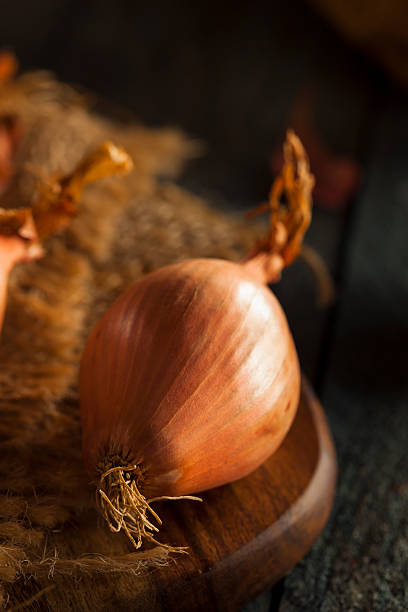 istock Raw Organic Spicy Shallots 479340960