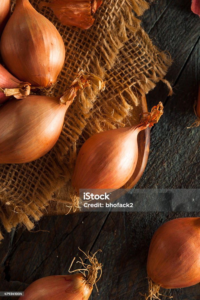 Raw Organic Spicy Shallots Raw Organic Spicy Shallots on a Background 2015 Stock Photo