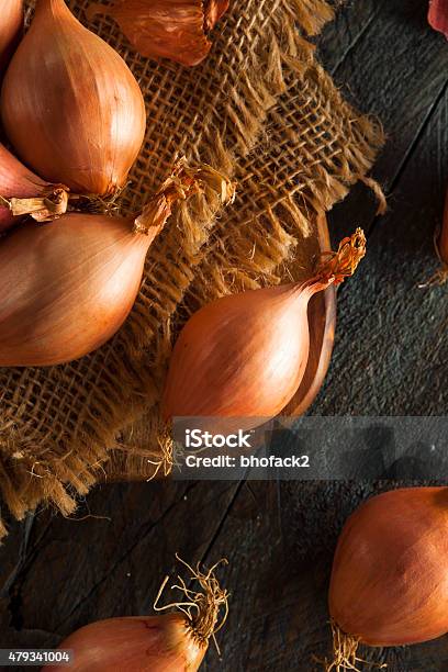 Raw Organic Spicy Shallots Stock Photo - Download Image Now - 2015, Agriculture, Brown
