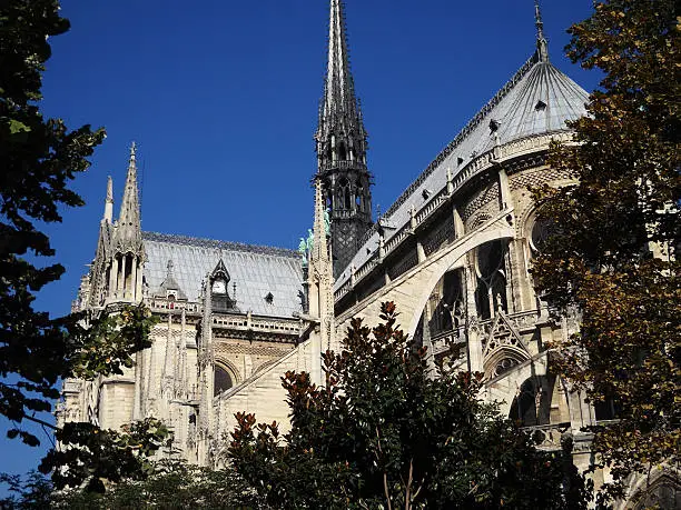 Photo of Perspectives of Notre Dame