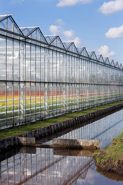 istock Greenhouse exterior 479353677