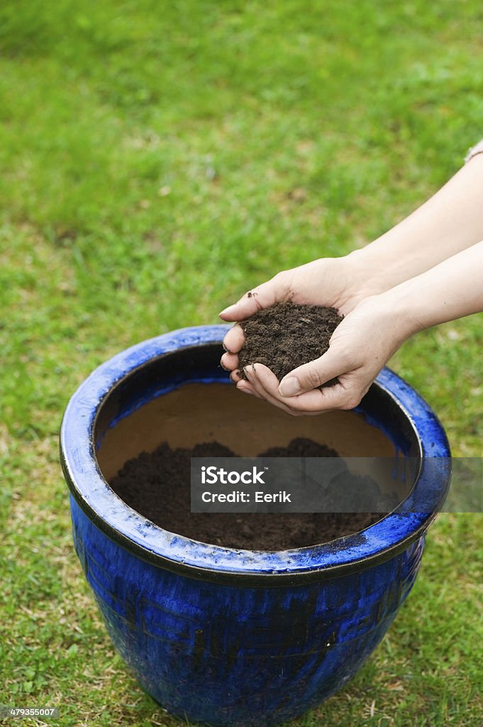 Gardener Hände und Blumen Blumenerde - Lizenzfrei Arbeiten Stock-Foto