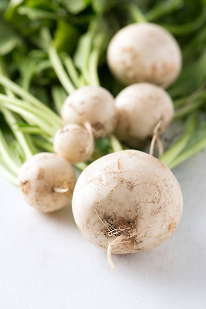 istock organic farm grown turnips 479355316