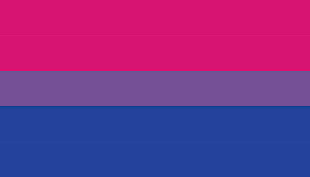 Vector modern bi flag background Vector modern bi flag background. type of sexual minorities lesbian flag stock illustrations