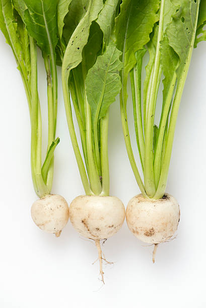 istock organic, farm grown turnips isolated on white 479360594