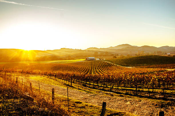 Sunset over a Farmhouse Sunbeams grace a lone farmhouse. napa county stock pictures, royalty-free photos & images