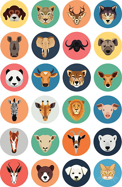 Animals Vector Flat Icons 1  javelina stock illustrations