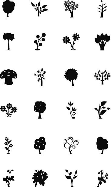 illustrazioni stock, clip art, cartoni animati e icone di tendenza di alberi vettoriale icone 3 - pino domestico