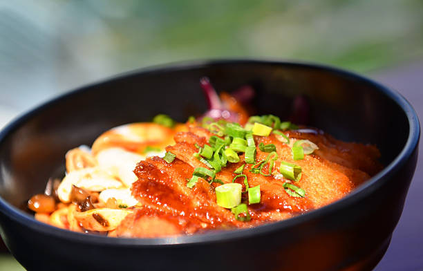 pollo katsudon-ku de ta: marina bay sands - food elegance cutlet restaurant fotografías e imágenes de stock