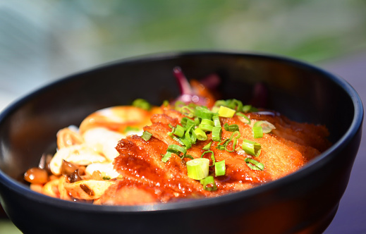 A bowl of Chicken Katsudon, - Rice, mushroom, fried red onion, spring onion, tonkatsu sauce and poached egg.