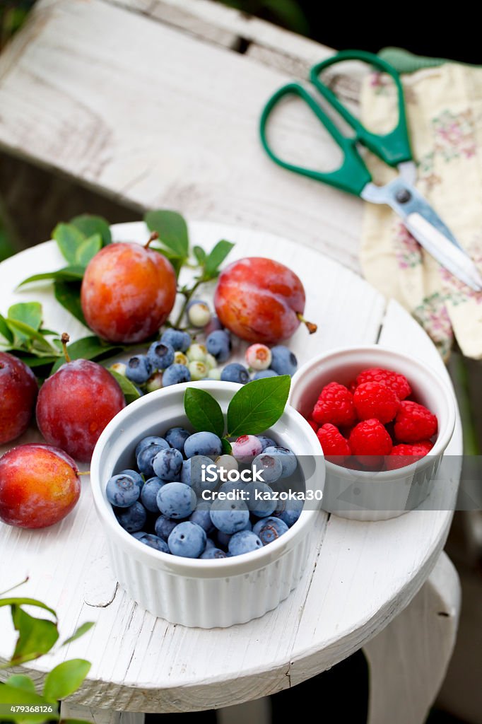 Fresh berries I harvested fresh berries in the kitchen garden. 2015 Stock Photo