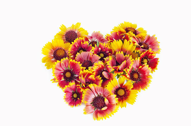 istock Heart made of flowers 479368588