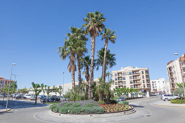 Palm Trees in a roundabout in the town of Miami Platja, Catalonia, Spain