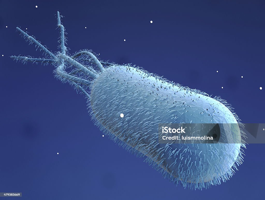 Escherichia Coli (E.  Coli.) - Стоковые фото Бактерия роялти-фри